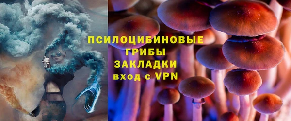 МДПВ Абинск