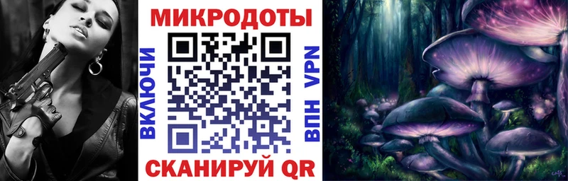 купить Фёдоровский Галлюциногенные грибы прущие грибы